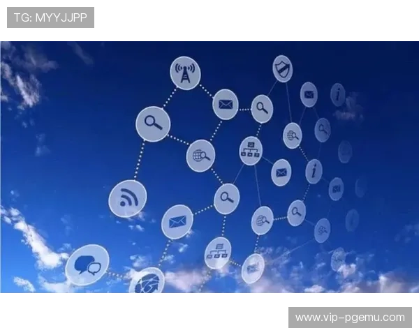 平台协同机制的深化实现了从赛事执行到内容变现的全链路透明