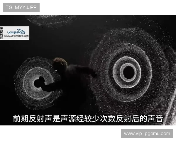 空间音频技术在本周期被引入制播环节 为家庭观众带来了环绕式现场感